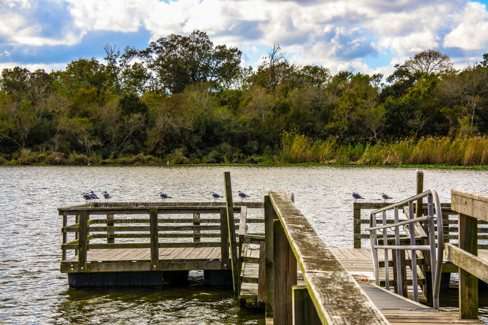 Armand Bayou Nature Center